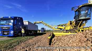 Landwirte hoffen auf ein Traumfinale für die Zuckerrüben