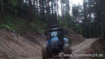 Wanderer am Heuberg entsetzt über breite Schneise im Wald – was haben Bagger dort verloren?