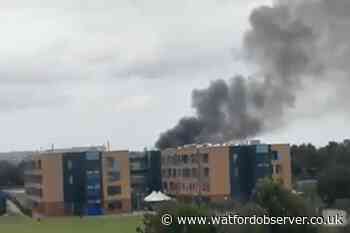 Investigation reveals Tolpits Lane/Robert Court fire cause