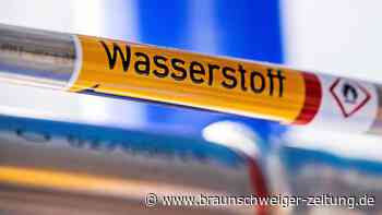 Wasserstoff-Strategie der Ampel: Eine riskante Wette