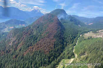 Davis Lake wildfire near Mission being held at 215 hectares