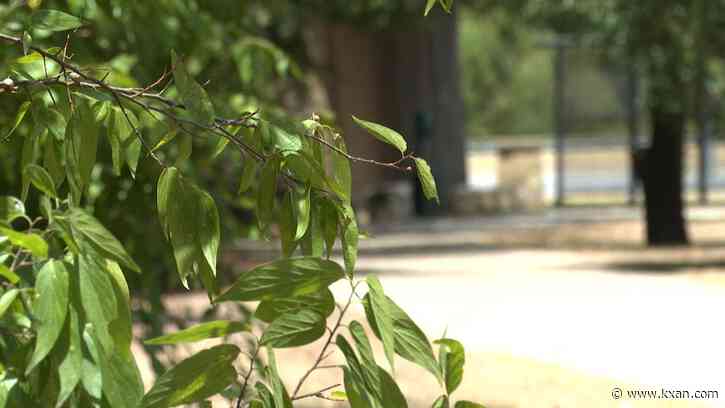 Plan for trail that connects multiple cities moves forward in Williamson County