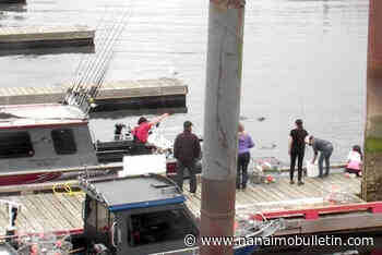 BC north coast fishing charter owner fined $10K for feeding seals