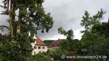 Wirbelsturm fegt durch Burghausen: Mehrere Bäume entwurzelt und Autos beschädigt