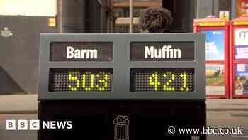 The ballot bins trying to stop people littering in Manchester