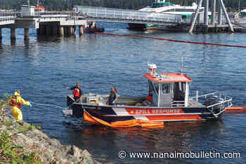 Cargo ship fuel spill triggers clean-up operation in Nanaimo Harbour