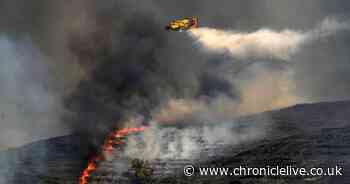 TUI releases update after airline suspended holidays to wildfire-hit island of Rhodes in Greece