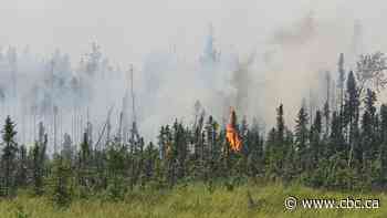 Wildfire burned 3 homes in Behchokǫ; another 'extremely challenging' day ahead, N.W.T. Fire says