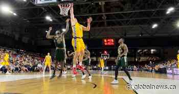 Edmonton Stingers create buzz as alternative to city’s trademark sports