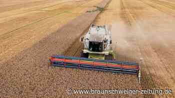 Getreide-Deal: Vor Putin einzuknicken kann notwendig werden