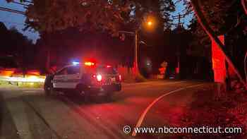 Pedestrian killed in crash involving Stamford police cruiser