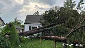 Downed trees, damaged homes in southwestern Ontario as tornado researchers dispatched to region
