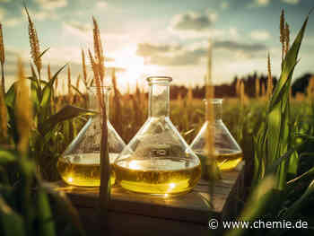 Hier kommen die Changemaker!