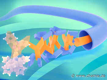 Molekulare Autobahn für Elektronen in organischen Leuchtdioden