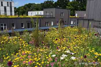 Vorgaben für Neubaugebiete: So soll in Münster künftig gebaut werden