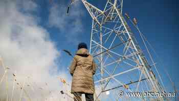 Wholesale power prices fell 59 per cent over the past year, so why did most power bills go up?