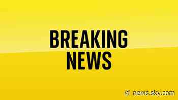 Shell profits cut by half due to plunging energy prices