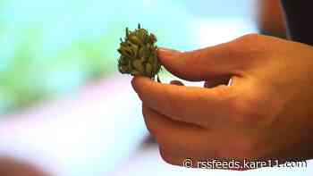 Law enforcement will tackle marijuana DUI enforcement similarly to alcohol DUIs