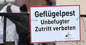 Coburg: Vogelgrippe bei Wildvögeln am Goldbergsee nachgewiesen