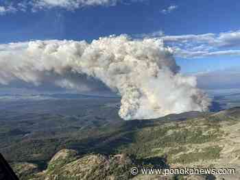 Wildfire crews fight wildfire with fire to protect, secure Cranbrook, B.C. airport
