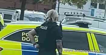 Toy guns seized after triggering armed police response in Bristol