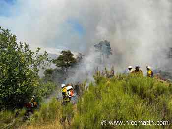 "Notre crainte, c’est que ça monte vers la bergerie": toujours de gros moyens déployés à Bairols pour venir à bout des flammes