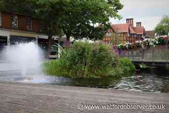Call for police resources amid Watford crime fears