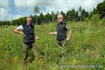 Holz- und Technologietage in Nieheim: Ist der Wald noch zu retten?