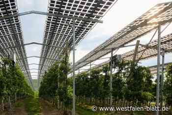 Lübbecke: ist Agri-Photovoltaik die Lösung?