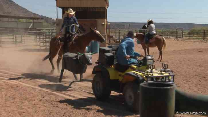 Record-breaking heat affects local charity rodeo
