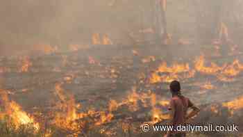 July 2023 is 'virtually certain' to be world's hottest month on record as extreme heatwaves continue to sweep across Europe, Asia and North America, scientists warn