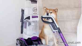 Take $124 Off the Hoover SmartWash Pet Complete Automatic Carpet Cleaner Machine     - CNET