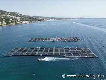 La préfecture valide le projet de regroupement de fermes aquacoles dans la baie de Golfe-Juan