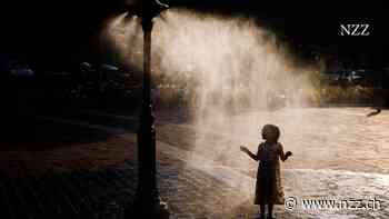 Juli wird global wahrscheinlich heissester Monat – mindestens seit Messbeginn