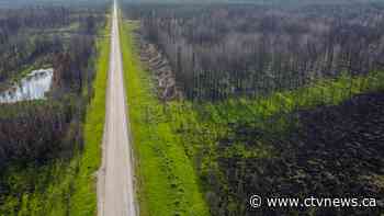 It's possible July could be the hottest month in 120,000 years: climate scientist