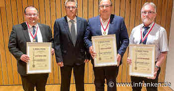 Hallstadt: Engagierte Stadträte erhalten Bürgermedaille - dafür setzen sie sich ein