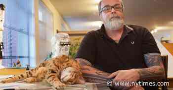 The Life of Frank Kozik, a Creator of Era-Defining Rock Concert Posters and Collectible Toys