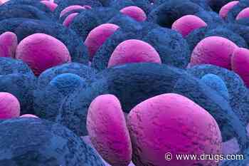 Younger Patients With Multiple Myeloma Can Achieve Durable Survival