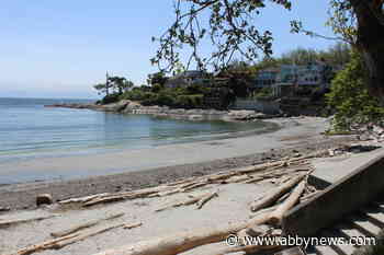 Shoe with human remains found on Victoria beach
