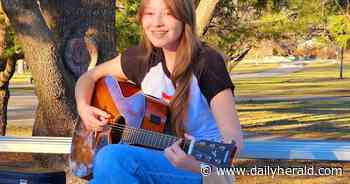 Homegrown fest brings local musicians, regional artists together Saturday in Lisle