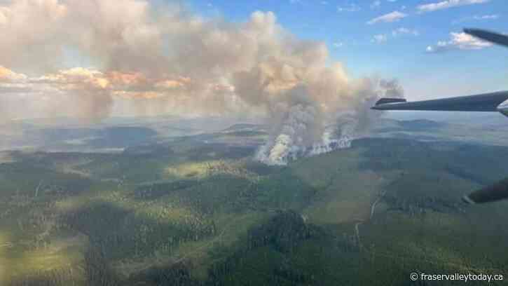 Weather delivers modest respite for wildfire starts in B.C., as latest update due