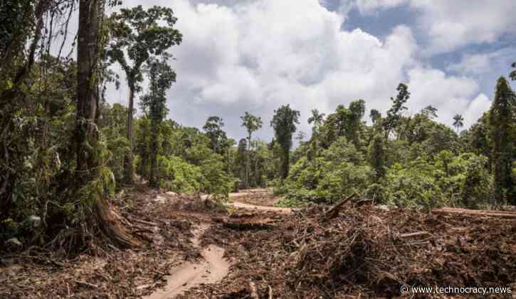 Environmentalists Betray The Environment They Claim To Protect