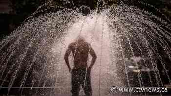 It's possible July could be the hottest month in 120,000 years: climate scientists