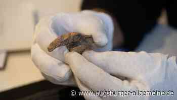 Eiszeitkunst: Ist es ein Bär oder ein Löwe?