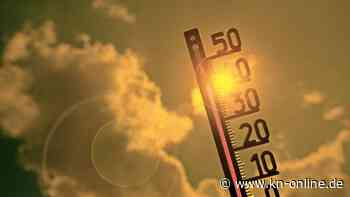 Hitze-Rekord: Juli wird wohl der weltweit heißeste Monat seit Jahrtausenden