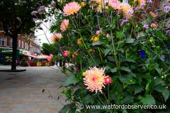 Take a Wok unit in Watford on the market after closure