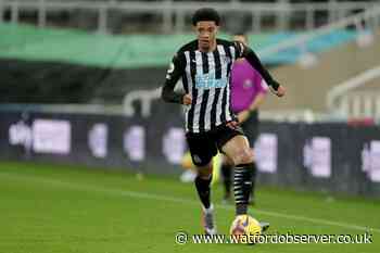 Jamal Lewis joins Watford on loan from Newcastle United