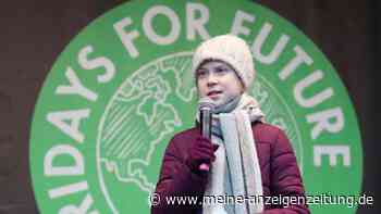 Neubauer, van Baalen, Jeschke: Das sind die bekanntesten Klimaaktivisten Deutschlands