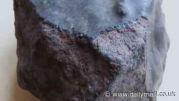 World's first 'boomerang meteorite' discovered in Sahara Desert: Rock that left Earth and spent millennia in space has now returned
