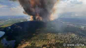 Rains bring some relief in B.C.'s record wildfire season, but barely affect drought conditions